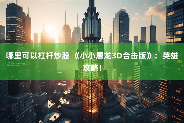 哪里可以杠杆炒股 《小小屠龙3D合击版》：英雄攻略！